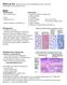 Rusto ja luu / Heikki Hervonen 2012/ Biolääketieteen laitos/ anatomia Solubiologia ja peruskudokset-jakso/