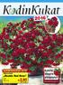 Kaikille tilaajille yllätyslahja! SUPERTARJOUS 2016! 4 3,95. Miljoonakello Double Red Rose. Katso kaikki tilaajalahjat s. 4. 4 kpl Tilaa s.