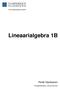 Informaatiotieteiden yksikkö. Lineaarialgebra 1B. Pentti Haukkanen. Puhtaaksikirjoitus: Joona Hirvonen