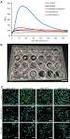 Kit Components. RealTime-Glo MT Cell Viability 1000 RXN. MT Cell Viability Substrate NanoLuc Enzyme