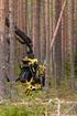 METSÄNOMISTAJIEN KIINNOSTUS YHTEISMETSÄN PERUSTAMISTA KOHTAAN POHJOIS-PIRKAN METSÄNHOITOYHDISTYKSEN TEISKON ALUEELLA