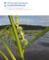 Yhteistyöllä parempaan. vesienhoitoon. Vuoksen vesienhoitoalueen vesienhoitosuunnitelma vuoteen 2015