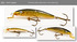 101 Kahir vaappu Kari Hirvo, kalan nahka, pituus 7.5cm, paino 6.3g