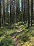 Metsäteollisuuden sitoumukset ympäristö- ja vastuullisuuskysymyksissä