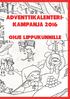 ADVENTTIKALENTERI- KAMPANJA 2016 OHJE LIPPUKUNNILLE