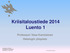 Kriisitaloustiede 2014 Luento 1. Professori Vesa Kanniainen Helsingin yliopisto