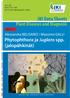 JKI Data Sheets. Plant Diseases and Diagnosis. Phytophthora ja Juglans spp. (jalopähkinät) Alessandra BELISARIO / Massimo GALLI