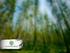 Maa- ja metsätalousministeriön asetus kasvinterveyden suojelemisesta annetun maa- ja metsätalousministeriön asetuksen muuttamisesta
