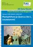 JKI Data Sheets. Plant Diseases and Diagnosis. Phytophthora ja Quercus ilex L. (rautatammi) Tamara CORCOBADO SÁNCHEZ