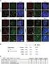 Kit Components. HB101 Competent Cells, 1ml. Competent Cells Control DNA HB101 Competent Cells, High Efficiency