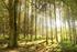 Nature-based entrepreneurship in private forests The preconditions for the sustainable co-operation between private forest owners and entrepreneurs