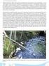 Hankesuunnitelma: Turvetuotannon ja metsätalouden vesiensuojelutason kehittäminen (TASO-hanke)
