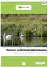 LIITE 7. Kainuun tuulivoimamaakuntakaava. Vaikutukset NATURA 2000-verkoston alueisiin B:10