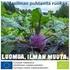 Euroopan maaseudun kehittämisen maatalousrahasto Eurooppa investoi maaseutualueisiin. Hämeen ELY-keskus PL LAHTI