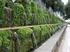 SUSTAINABLE LANDSCAPE ARCHITECTURE