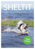 SHELTIT TEEMANA LIHASHUOLTO 2/2017 SHETLANNINLAMMASKOIRAT SHETLAND SHEEPDOGS RY:N JÄSENLEHTI