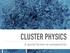 CLUSTER PHYSICS. A special lecture on nanoparticles