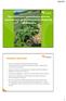 Taimituotannon vaatimukset ja valvonta kasvinterveys- ja taimiaineistolainsäädännön näkökulmasta