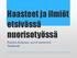 Haasteet ja ilmiöt etsivässä nuorisotyössä. Pauliina Koljonen, etsivä nuorisotyö Äänekoski