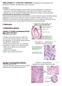 Mikroskopia 2: Verisively, sidekudos Solubiologia ja peruskudokset 2013 Heikki Hervonen/MA, Biolääketieteen laitos /Anatomia.