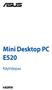 Mini Desktop PC E520