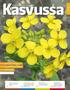 Kasvussa. Borealin lajikkeet Suunnittelua satosi parhaaksi» sivu 11. Boreal Kasvinjalostus Oy:n tiedotuslehti