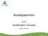 Aluetapaaminen. 3/17 Hyvölänniemi, Kiuruvesi. Aulikki Otranen