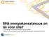Mitä energiakansalaisuus on tai voisi olla? Eva Heiskanen, Kuluttajatutkimuskeskus, Helsingin yliopisto Alustus Suomen energiaekonomistien