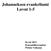 Johanneksen evankeliumi Luvut 1-5