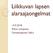 Liikkuvan lapsen alaraajaongelmat Riikka Lempinen Fysioterapeutti, SatKs