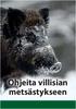 Ohjeita villisian metsästykseen