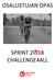 OSALLISTUJAN OPAS SPRINT 2 18 CHALLENGE4ALL