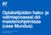 Opiskelijoiden haku- ja valintaprosessi ddmaisteriohjelmissa (case Mundus) Kv-kevätpäivät Karoliina Kekko