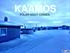 KAAMOS POLAR NIGHT CRIMES