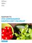 RAPORTTI ITÄ-LEPPÄVAARAN KAUPALLISET PALVELUT