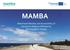 MAMBA. Maximised Mobility and Accessibility of Services in Regions Affected by Demographic Change