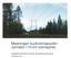 Maaningan tuulivoimapuisto Jumisko 110 kv voimajohto YMPÄRISTÖVAIKUTUSTEN ARVIOINTIOHJELMA