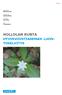 HOLLOLAN KUNTA HYVINVOINTIASEMAN LUON- TOSELVITYS. Liite 5. Vastaanottaja Hollolan kunta. Asiakirjatyyppi Luontoselvitys. Päivämäärä 14.8.