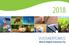 VUOSIKERTOMUS Mtech Digital Solutions Oy
