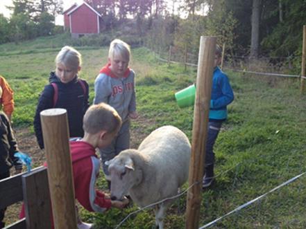 TilaPuoti ja kahvila Kotieläinpiha Pelto- ja metsätyöt MTK:n