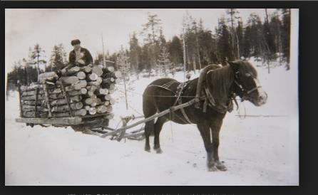 Harvennusmetsien puunkorjuun tehostamisen historiasta Teollistumisen mukana puunkorjuu (=hakkuu + metsäkuljetus) on muuttunut vajaassa 70- vuodessa ihmistyövaltaisesta vuodenaikoihin rytmitetystä