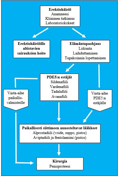 13 (Fisken 2010, 418; Ryttyläinen & Valkama 2010, 178-181.