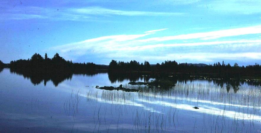 Hankkeen tuotokset Loppuraportti hankkeen tuloksista Toimintamalli vesiruton