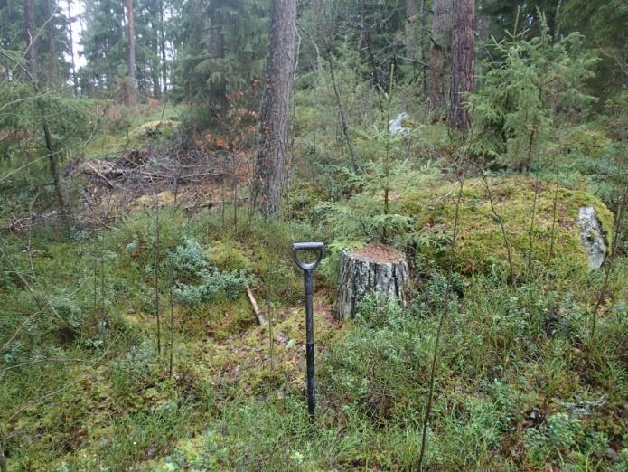 halkovan mökkitien luoteispuolen metsikössä, kuvassa oikealla.