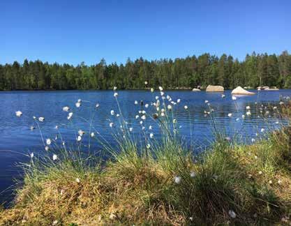 Maasto on tuliperäistä ja muinaisrantoja koristavat aalloissa pyöreiksi hioutuneet kivet.