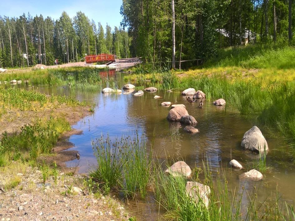 Tutkimustuloksia odotetaan Kuninkaantammen