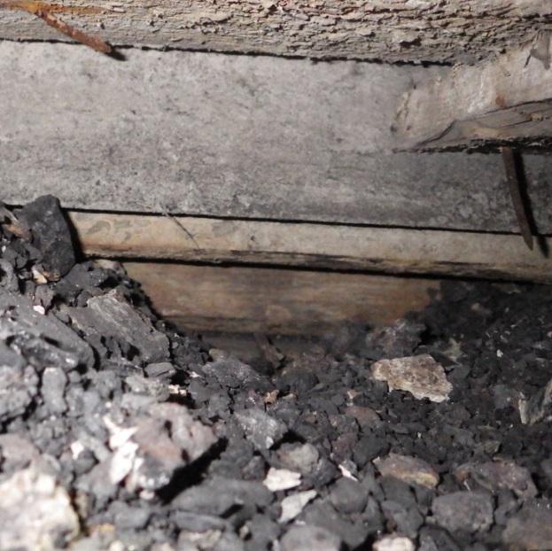Avauksesta otettiin yksi materiaalinäyte mikrobianalyysiä varten ja kaksi materiaalinäytettä haitta-aineanalyysiä varten.