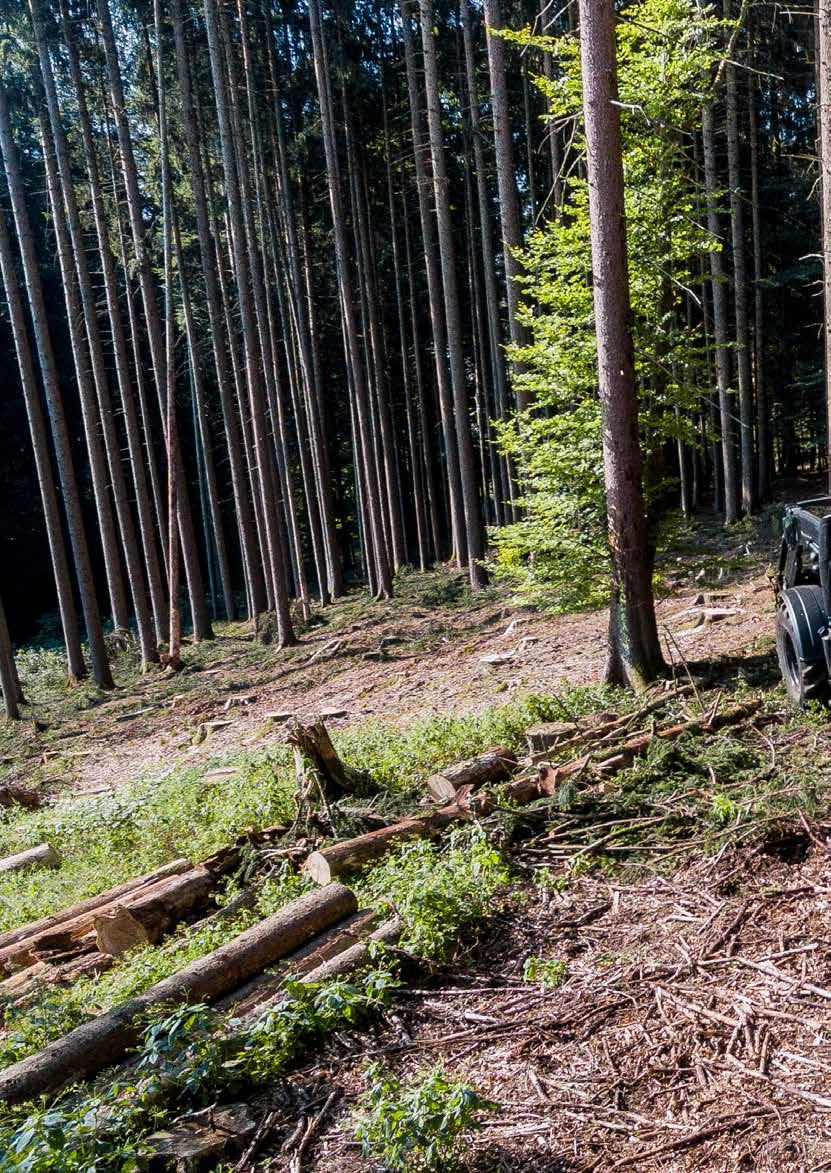 Turvallinen sijoitus Trejon Multiforestin metsäperävaunut ja kuormaimet muuttavat traktorisi tehokkaaksi metsätyökaluksi ja tekevät metsätyöstä nopeaa, tehokasta ja mukavaa joka päivä vuosiksi