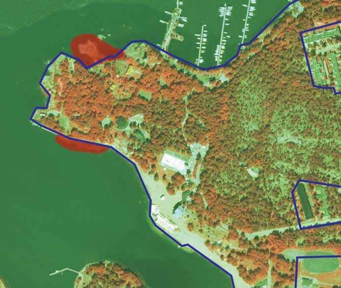Päätelmät Fåfängan pienellä alueella pesivä linnusto on hyvin monipuolista ja parimäärätiheydet ovat poikkeukselliset suuria.