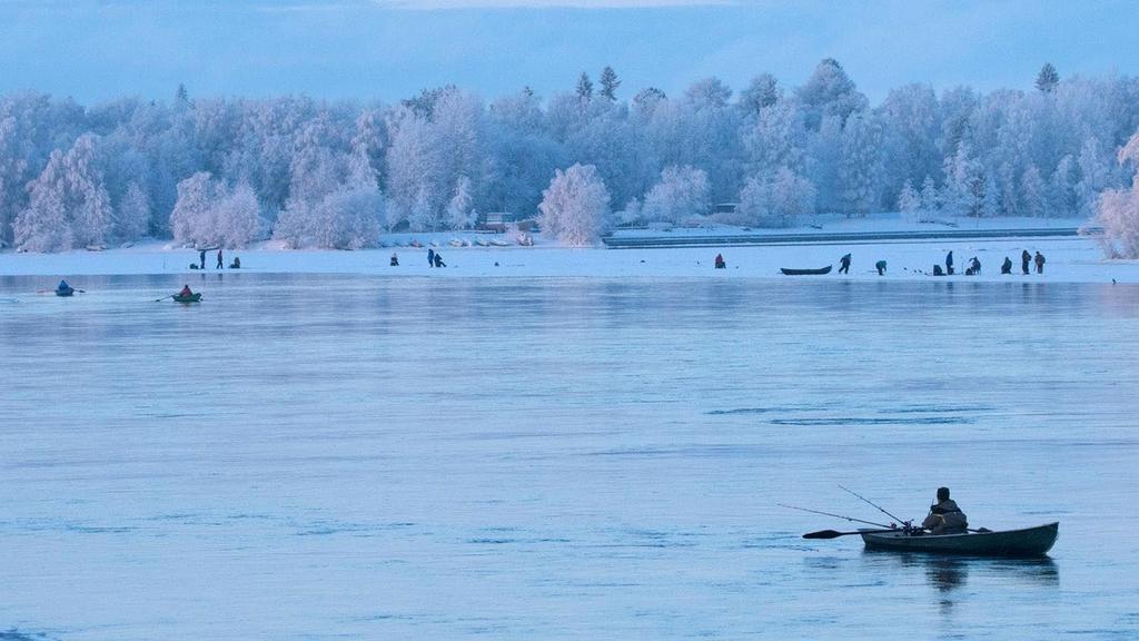 Arktisen neuvoston puheenjohtajuus SUOMELLA 2017 2019 Arktisen neuvoston puheenjohtajamaana Suomi korostaa Pariisin ilmastosopimuksen toimeenpanoa ja YK:n kestävän